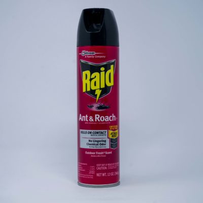 Raid Ant&roach O/Door Fr 340g